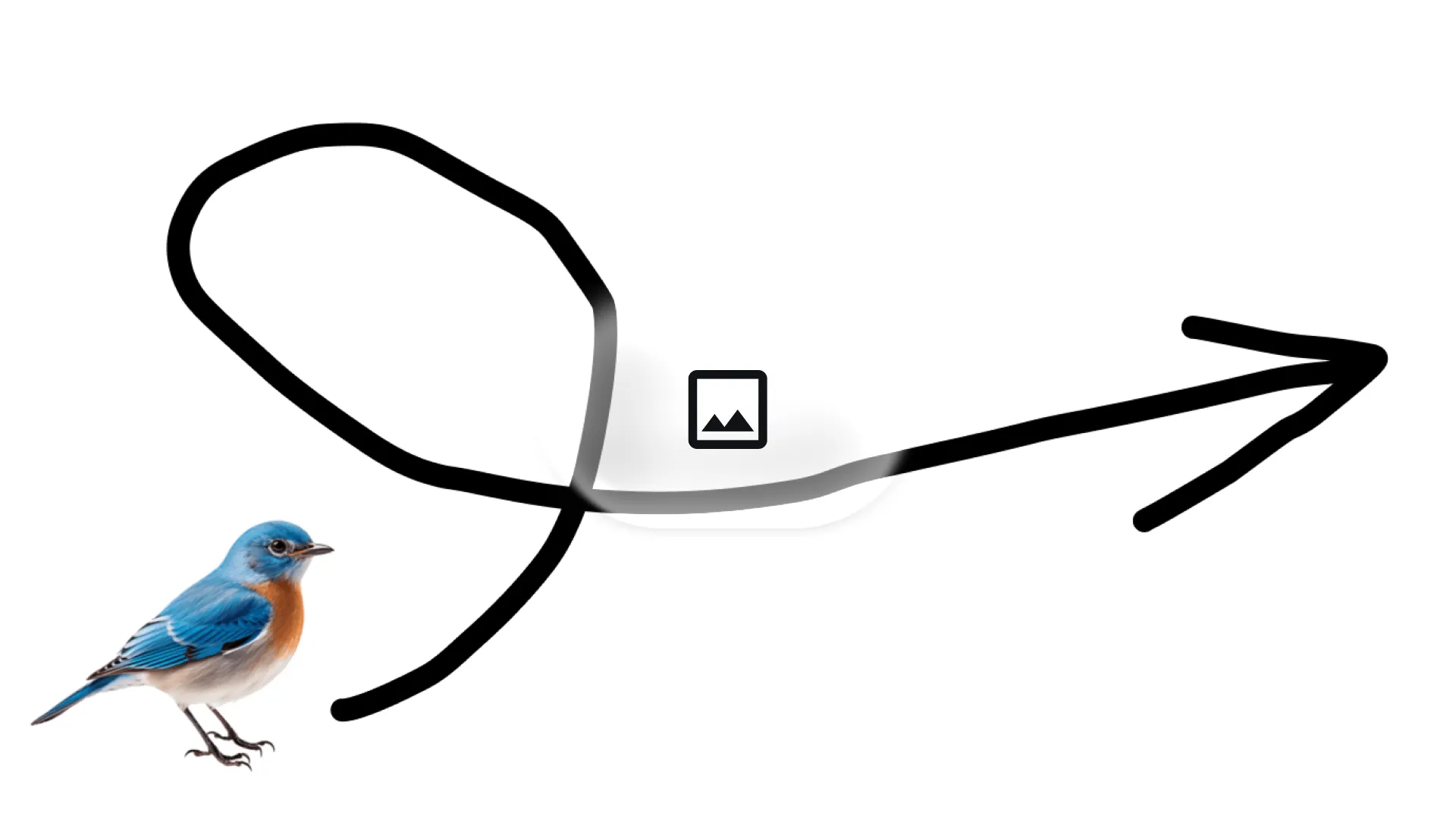 Input image